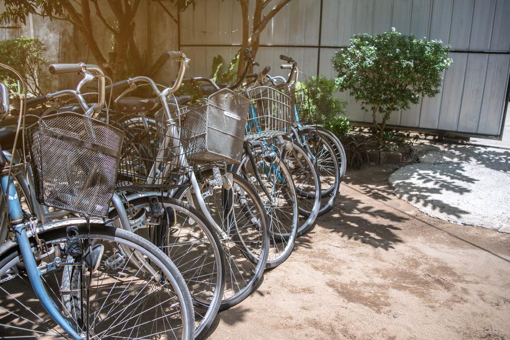 פולונרואה Sanctuary Cove Guest House מראה חיצוני תמונה